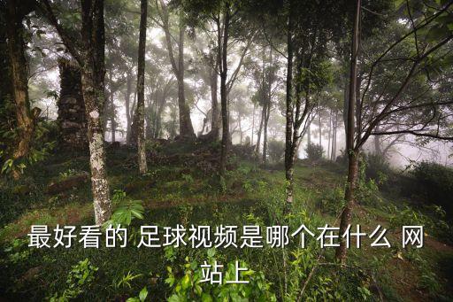 看足球集錦的網站,足球視頻集錦高清網站