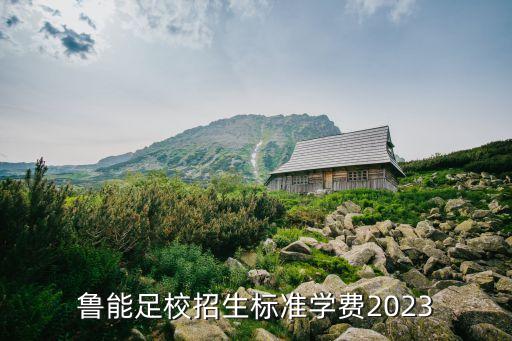 團購山東魯能泰山足球票,山東魯能泰山足球學(xué)校招生簡(jiǎn)章