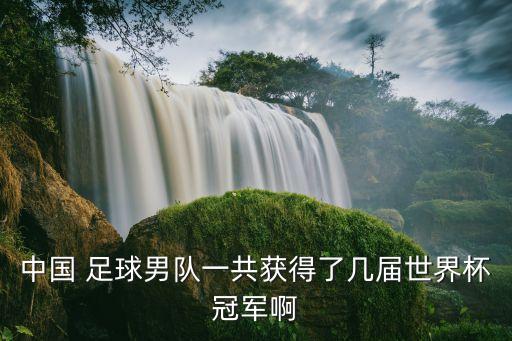 中國 足球男隊(duì)一共獲得了幾屆世界杯冠軍啊