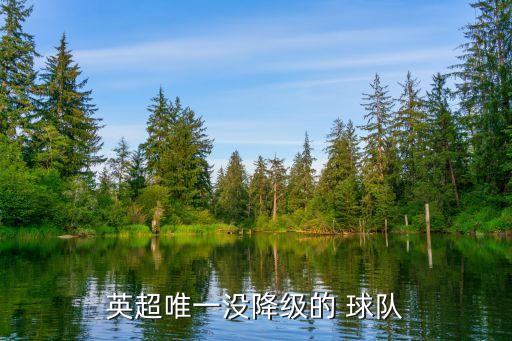 英格蘭足球超級聯(lián)賽球隊