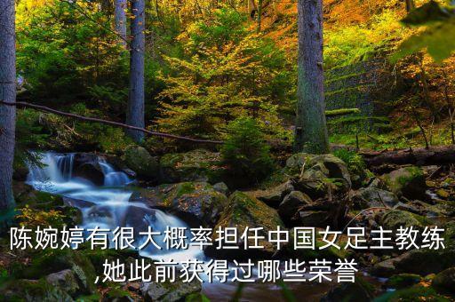陳婉婷有很大概率擔任中國女足主教練,她此前獲得過哪些榮譽