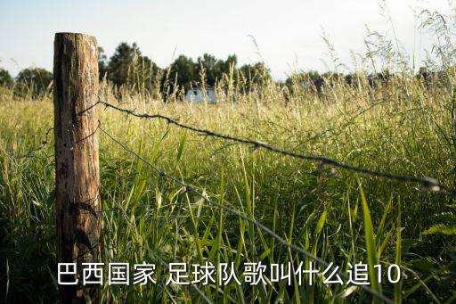 巴西國家 足球隊歌叫什么追10