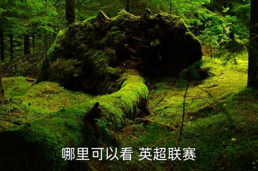 哪里可以看 英超聯(lián)賽