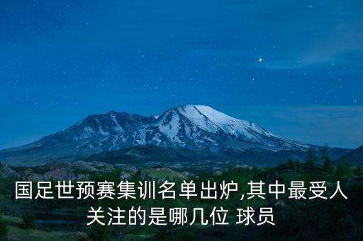 中國足球歸化球員最新