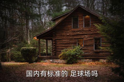 專業(yè)的足球場是什么樣的,足球場紅牌是什么意思