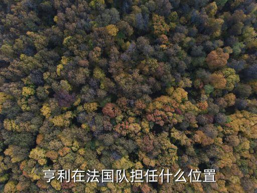 足球亨利照片,法國亨利足球隊員