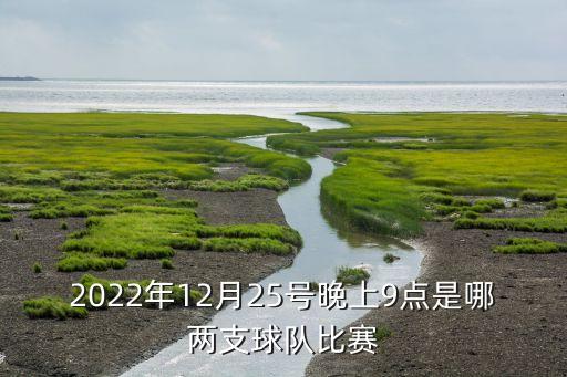25號足球