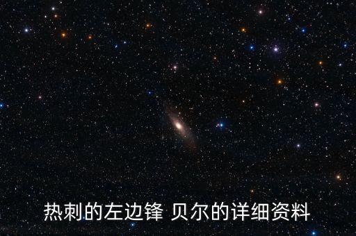 熱刺的左邊鋒 貝爾的詳細資料