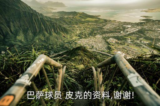巴薩球員 皮克的資料,謝謝!