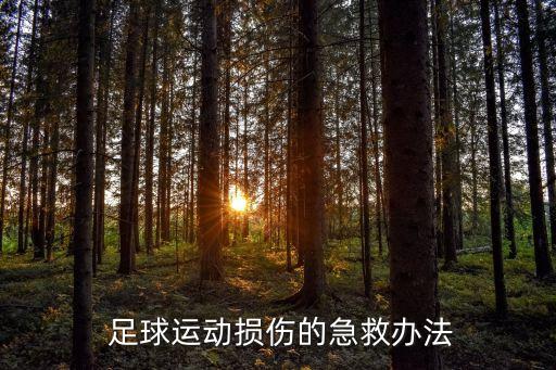  足球運動損傷的急救辦法
