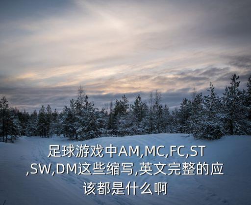 足球里ml什么意思,足球10號代表什么意思