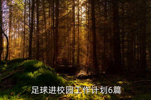  足球進校園工作計劃6篇