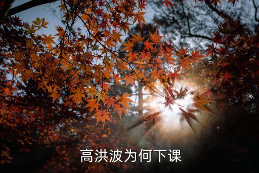  高洪波為何下課