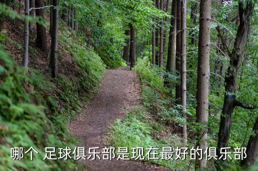 哪個 足球俱樂部是現(xiàn)在最好的俱樂部