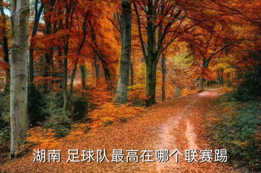 湖南 足球隊(duì)最高在哪個(gè)聯(lián)賽踢