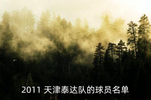 2011 天津泰達(dá)隊(duì)的球員名單