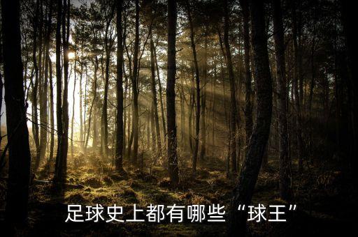 世界上誰(shuí)是足球網(wǎng)