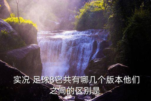 實況足球8海風(fēng)版