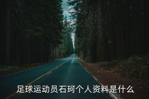  足球運(yùn)動(dòng)員石珂?zhèn)€人資料是什么
