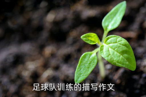  足球隊(duì)訓(xùn)練的描寫作文