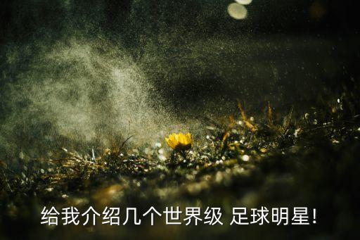 給我介紹幾個世界級 足球明星!
