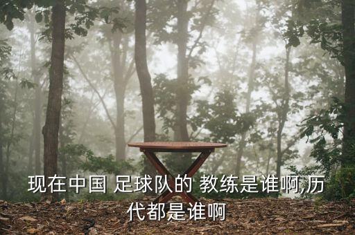 中國目前足球教練,中國足球教練員培訓(xùn)管理系統(tǒng)