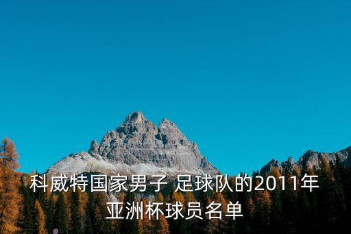 科威特國(guó)家男子 足球隊(duì)的2011年亞洲杯球員名單