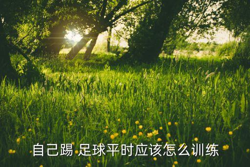 家里練足球,一個(gè)人怎么練足球