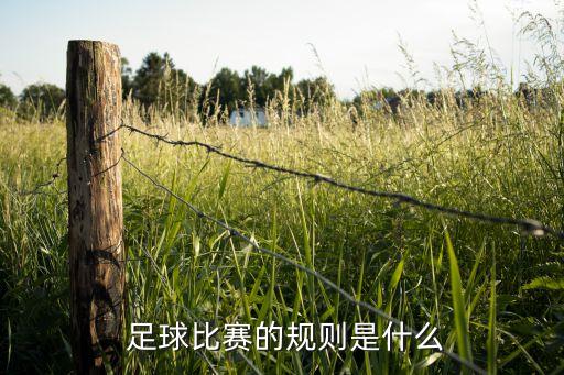  足球比賽的規(guī)則是什么