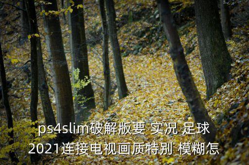 實(shí)況足球新引擎模糊,為什么實(shí)況足球畫質(zhì)模糊