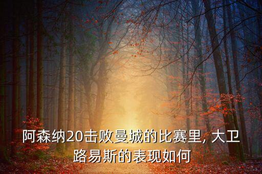阿森納20擊敗曼城的比賽里, 大衛(wèi) 路易斯的表現(xiàn)如何