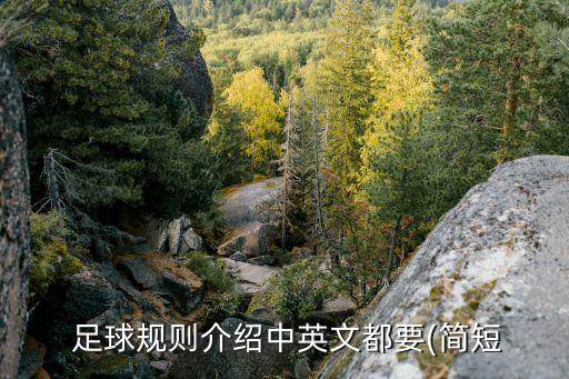  足球規(guī)則介紹中英文都要(簡短