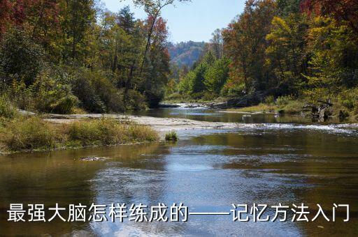 最強大腦怎樣練成的——記憶方法入門
