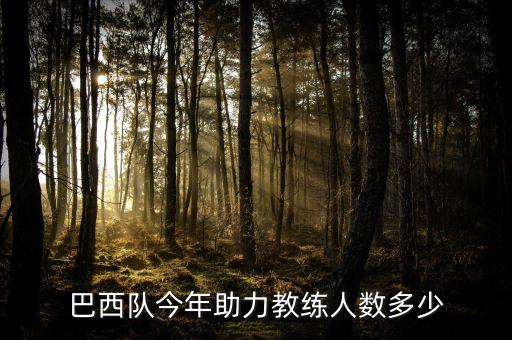 巴西隊(duì)今年助力教練人數(shù)多少