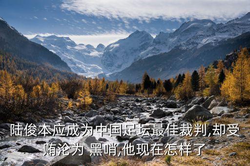 陸俊本應成為中國足壇最佳裁判,卻受賄淪為 黑哨,他現(xiàn)在怎樣了