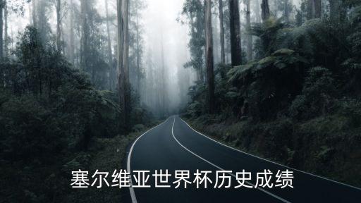  塞爾維亞世界杯歷史成績(jī)