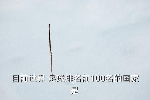 目前世界 足球排名前100名的國家是