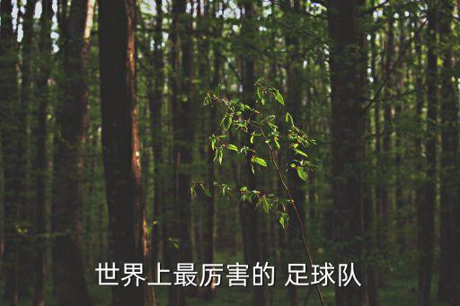 世界上最厲害的 足球隊