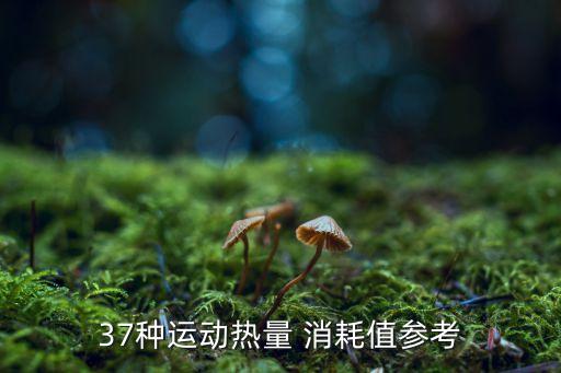 足球卡路里消耗,足球運動員一場比賽消耗多少卡路里