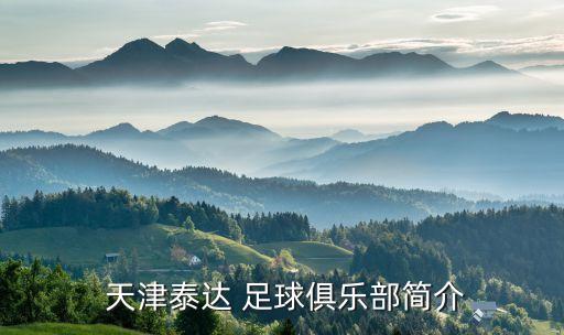  天津泰達(dá) 足球俱樂(lè)部簡(jiǎn)介