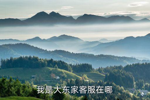我是大東家客服在哪