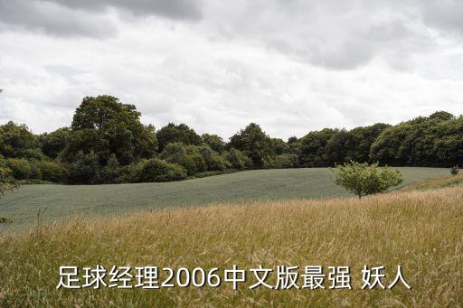  足球經(jīng)理2006中文版最強(qiáng) 妖人