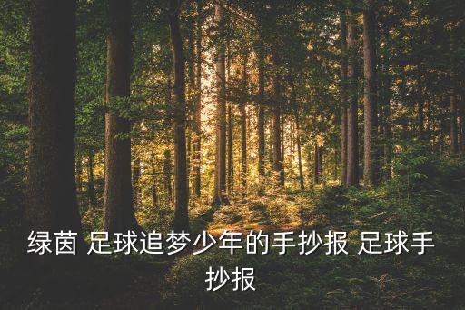 足球宣傳資料,足球培訓(xùn)招生宣傳