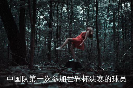 中國(guó)隊(duì)第一次參加世界杯決賽的球員