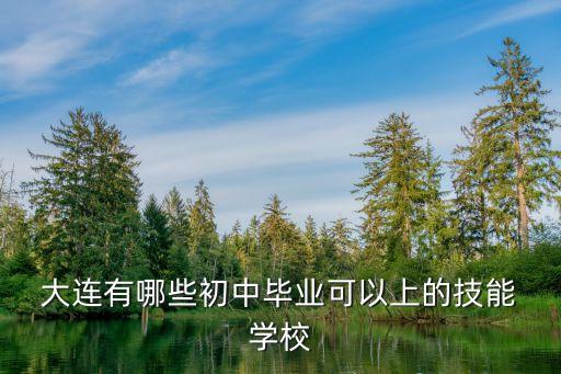  大連有哪些初中畢業(yè)可以上的技能 學(xué)校
