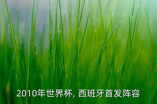 2010年世界杯, 西班牙首發(fā)陣容