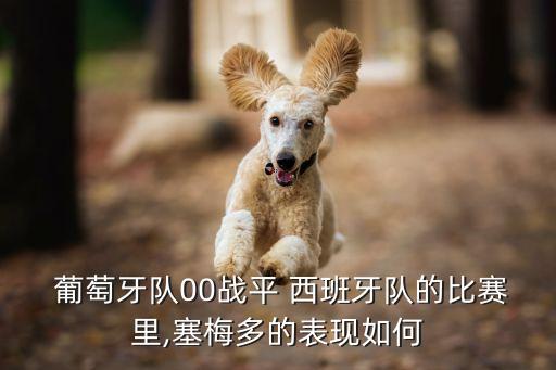 葡萄牙對西班牙足球賽,西班牙為什么不吞并葡萄牙