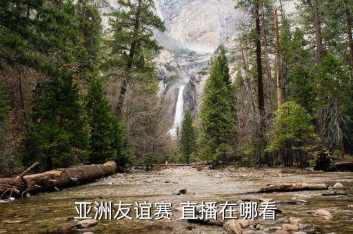 足球比賽怎么看直播