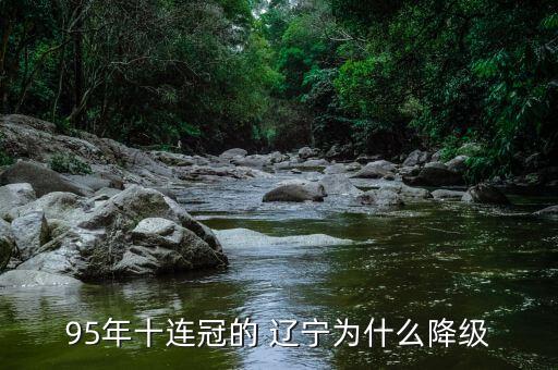 95年十連冠的 遼寧為什么降級