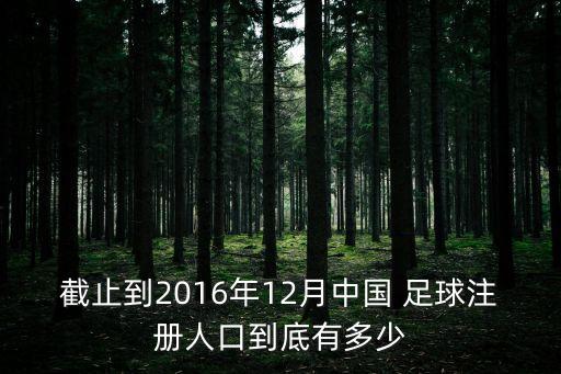 截止到2016年12月中國 足球注冊人口到底有多少